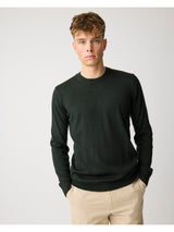 A young man wearing a dark forest green long-sleeve crewneck sweater and beige trousers, standing against a light gray studio background.