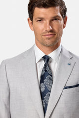 Man wearing a light gray suit with a navy tie on a white background